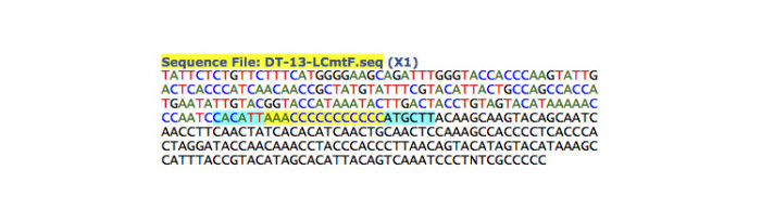 mtDNA_DT_F13